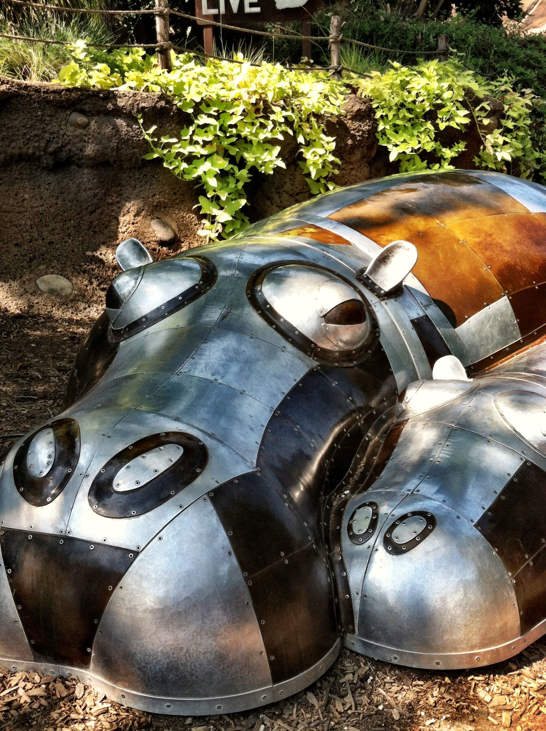 Hippo Sculpture at the San Antonio Zoo